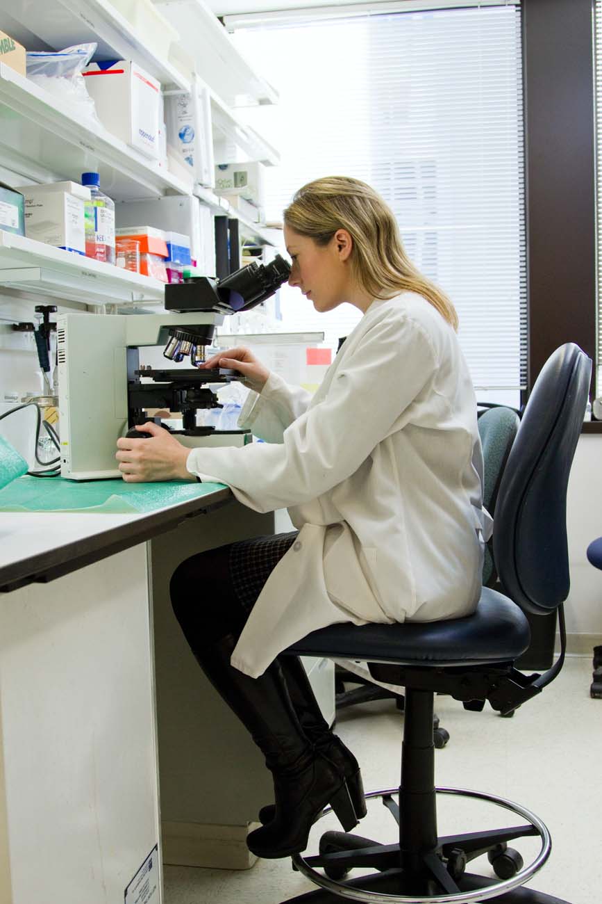 Could antibiotic-resistant “superbugs” become a bigger killer than cancer?