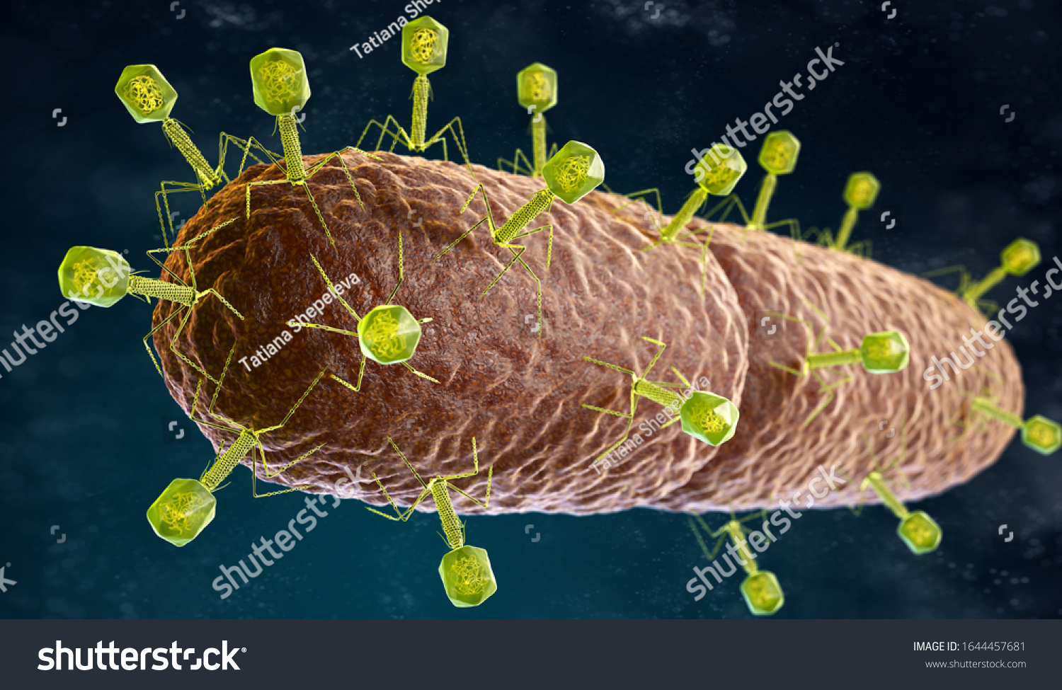 Antibiotic resistance