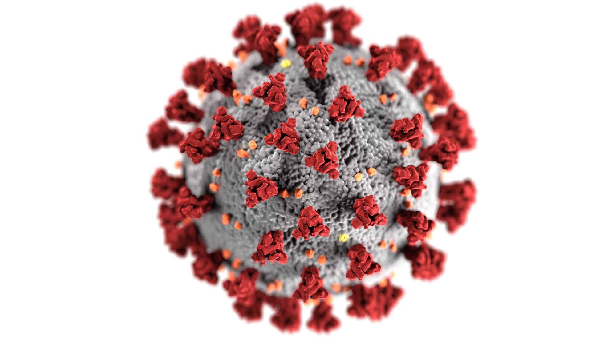 Bacterial co-infection and secondary infection in patients with COVID-19