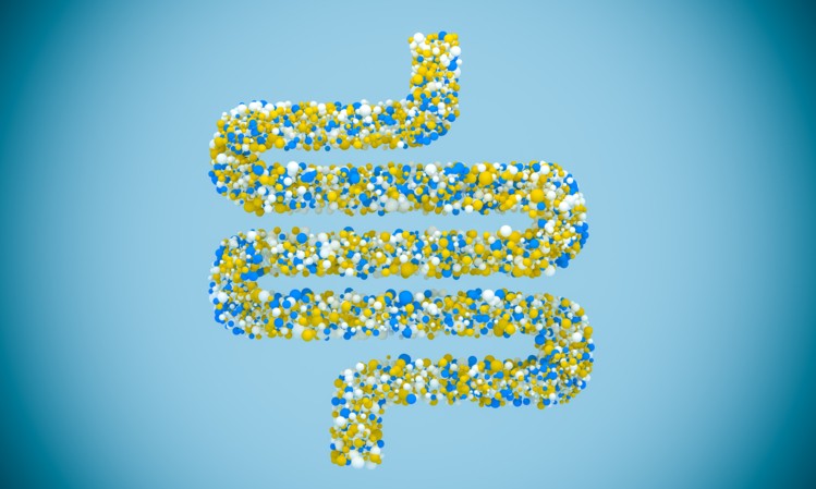 phage probiotic